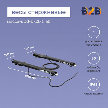 Весы стержневые МАССА-К 4D-B-12/1_AB