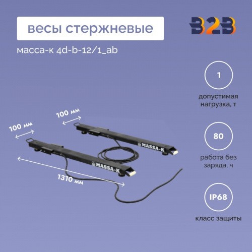 Весы стержневые МАССА-К 4D-B-12/1_AB