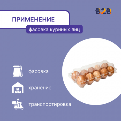 Упаковка для куриных яиц, 10 ячеек, прямоугольная (пластик)