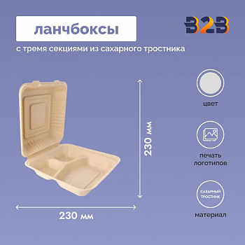 Ланчбоксы с тремя секциями из сахарного тростника 230x230 мм